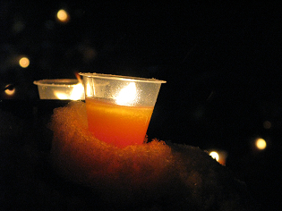 10021307.jpg